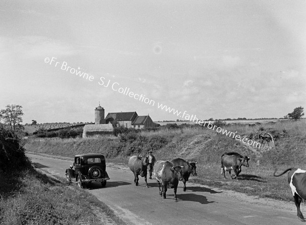 CHURCH FROM A DISTANCE  COWS AND CAR